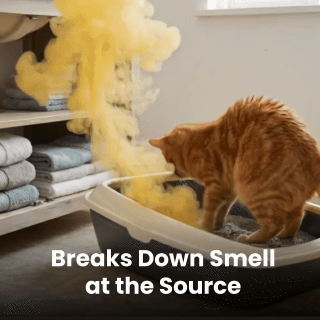 💥Last day 50% off丨REBYIPO® UV-C molecular-level pet odor eliminator eliminates odors at the source—no sprays or filter cartridges required